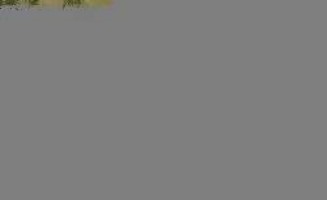 Flash games ch