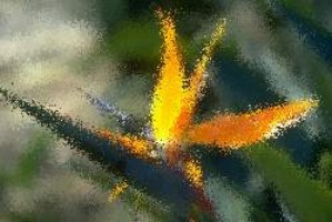 handyspiele downloads kostenlos